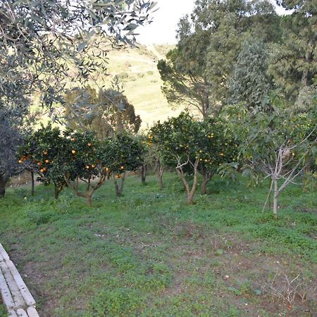 La Casetta Nel Bosco Apartman Calatafimi Kültér fotó