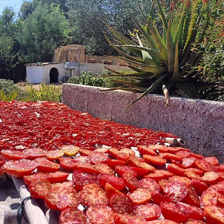 La Casetta Nel Bosco Apartman Calatafimi Kültér fotó