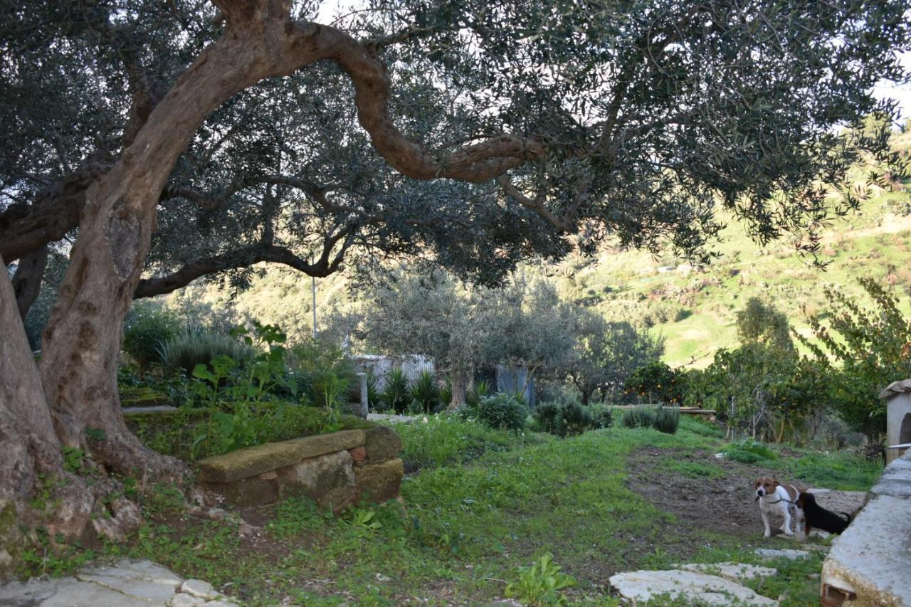 La Casetta Nel Bosco Apartman Calatafimi Kültér fotó