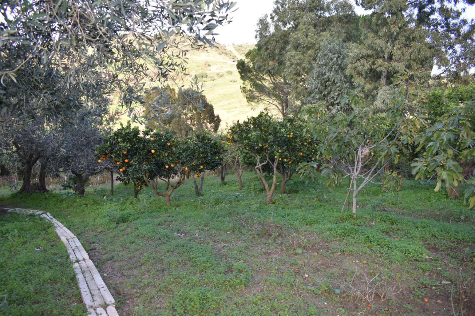 La Casetta Nel Bosco Apartman Calatafimi Kültér fotó