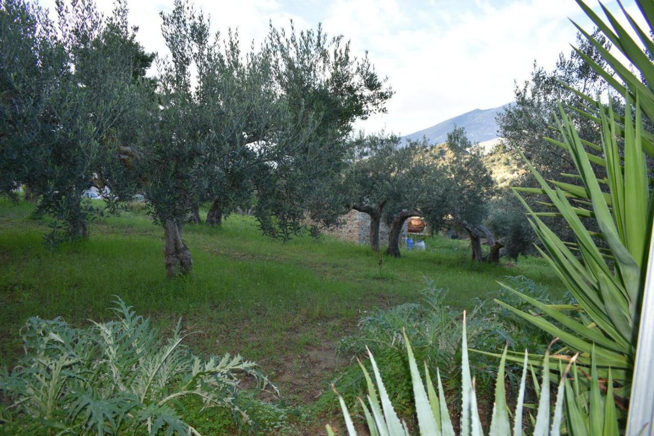 La Casetta Nel Bosco Apartman Calatafimi Kültér fotó