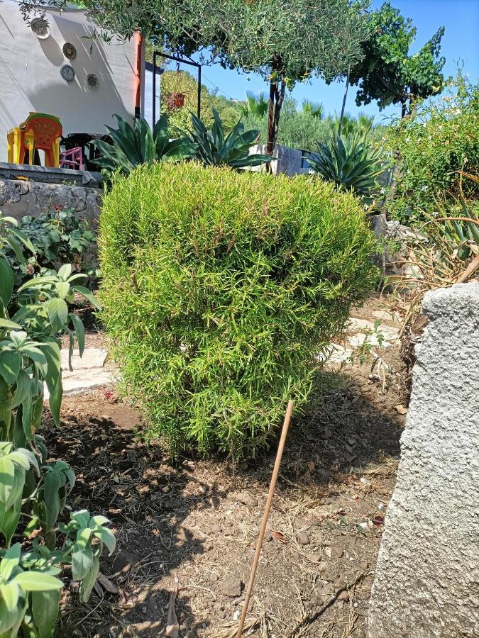 La Casetta Nel Bosco Apartman Calatafimi Kültér fotó